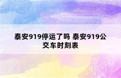 泰安919停运了吗 泰安919公交车时刻表